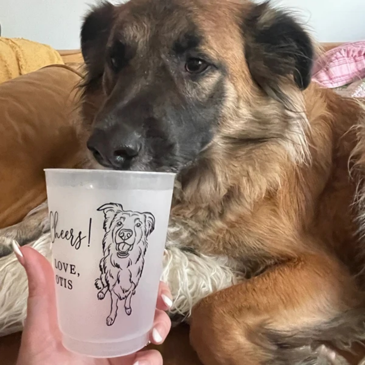 10/50 Personalisierte Hunde- u – Plastic Cup 50Pcs Bewertung und Preis